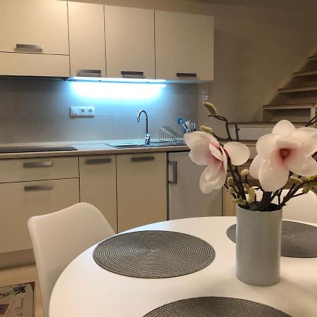 אפרטהוטל Balatonfůzfő Beachfront Studio Apartman מראה חיצוני תמונה
