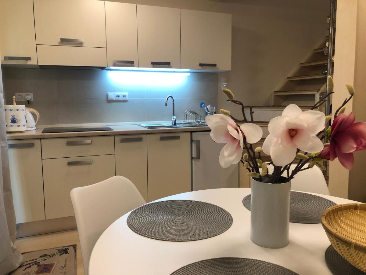 אפרטהוטל Balatonfůzfő Beachfront Studio Apartman מראה חיצוני תמונה