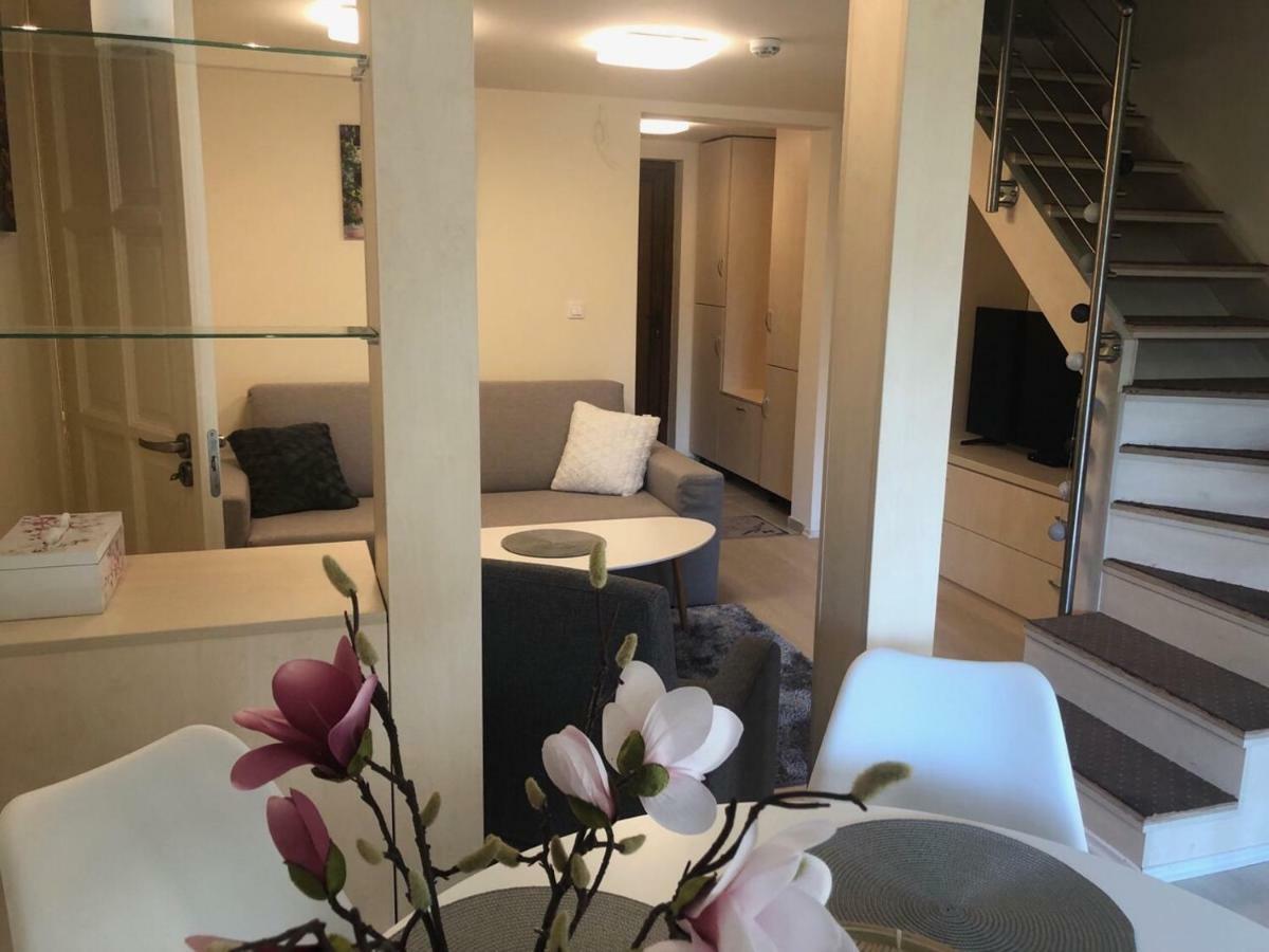 אפרטהוטל Balatonfůzfő Beachfront Studio Apartman מראה חיצוני תמונה
