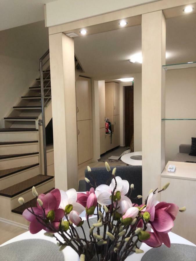 אפרטהוטל Balatonfůzfő Beachfront Studio Apartman מראה חיצוני תמונה